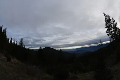 DSC_0080 (Large).JPG